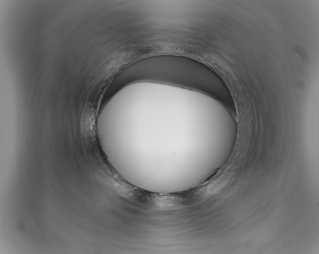 X0000111190336200907011014
