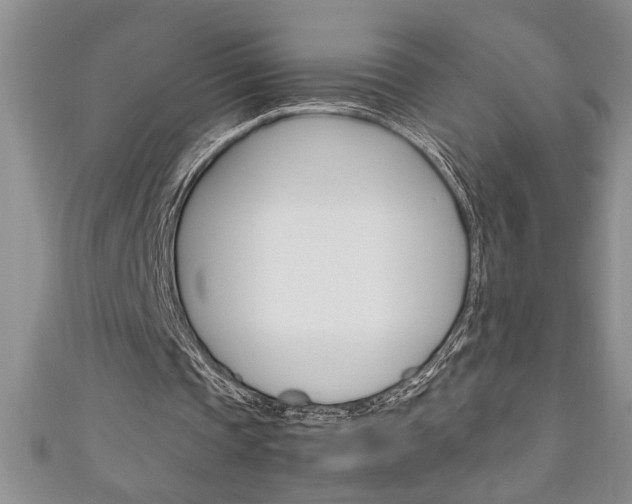 X0000111190337200907011013