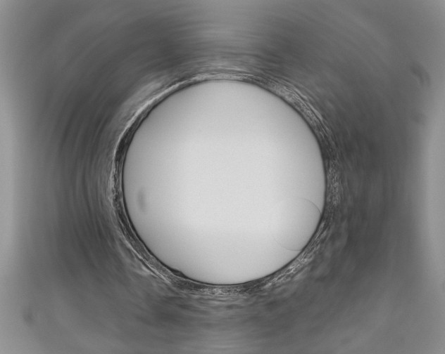 X0000111190338200907011013