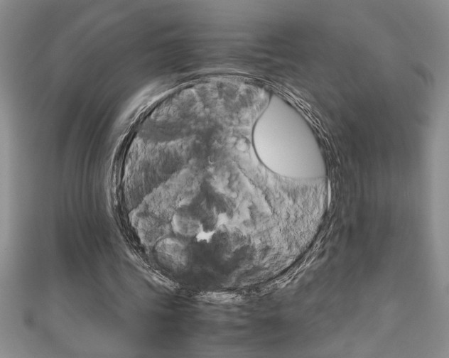 X0000111190339200907011013