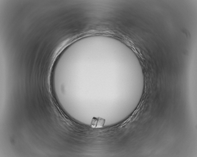 X0000111190340200907011013