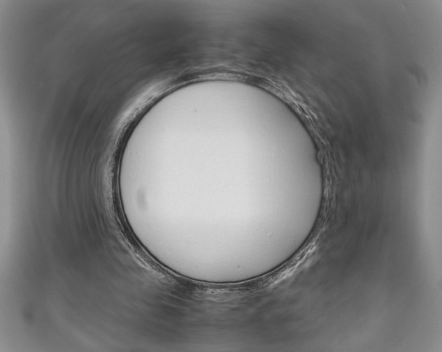 X0000111190341200907011013