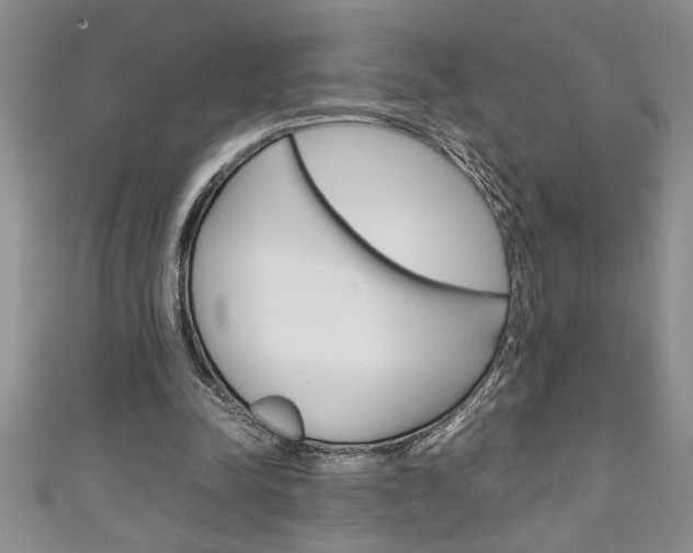 X0000111190342200907011013