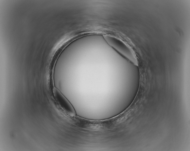 X0000111190344200907011013
