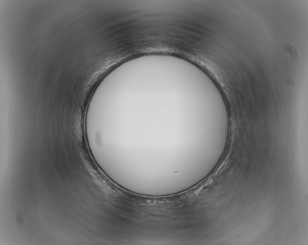 X0000111190345200907011013