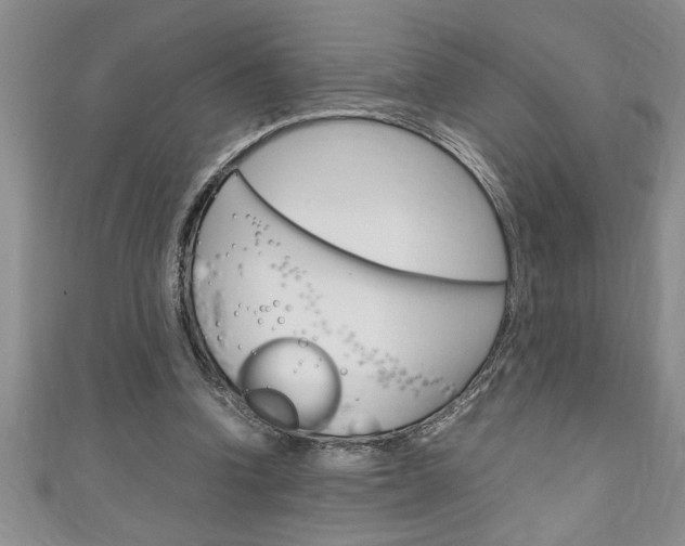 X0000111190346200907011013