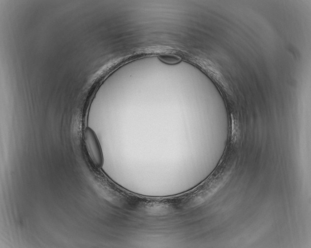 X0000111190348200907011013