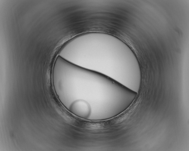 X0000111190349200907011013