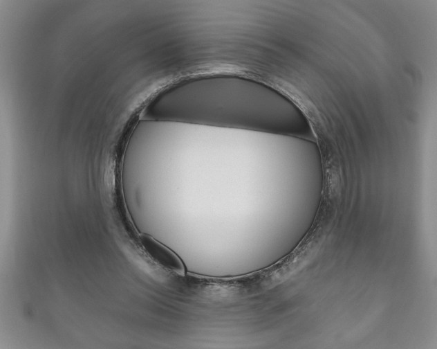 X0000111190350200907011013