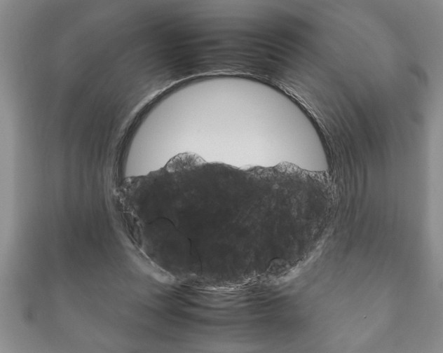 X0000111190351200907011013