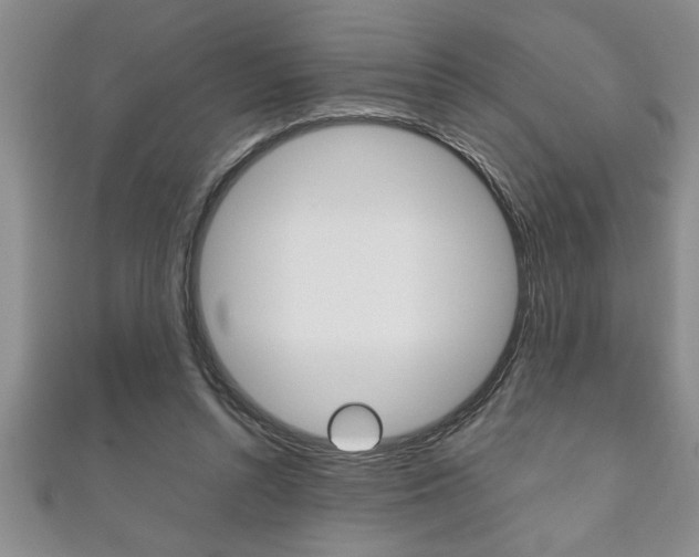 X0000111190352200907011013