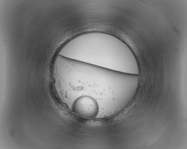 X0000111190354200907011014