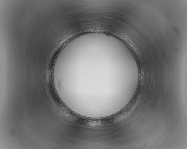 X0000111190355200907011014
