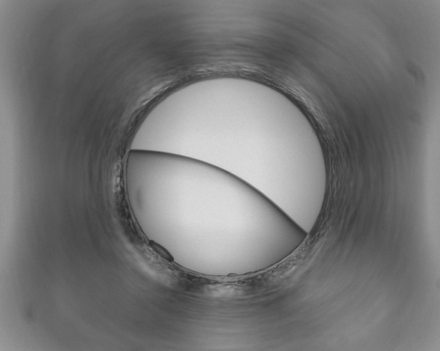 X0000111190356200907011014