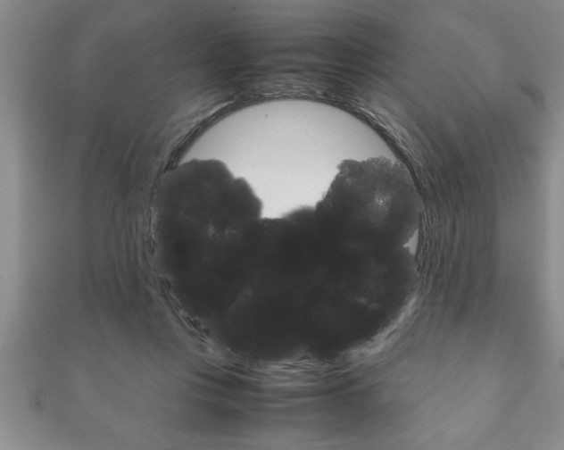 X0000111190359200907011014
