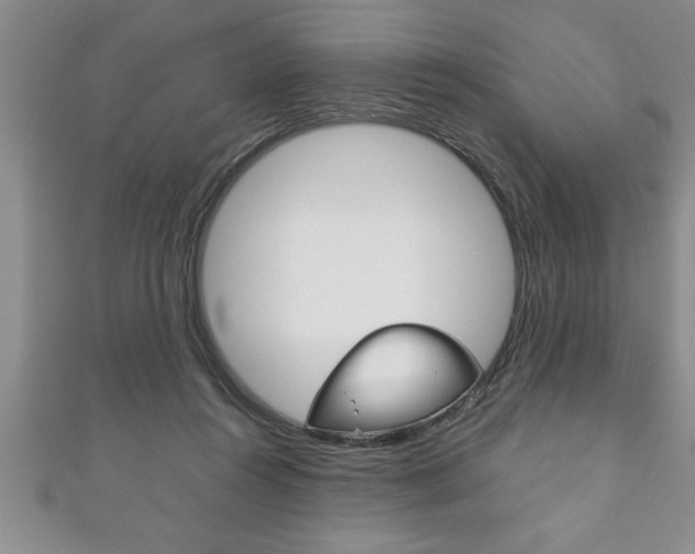 X0000111190360200907011014