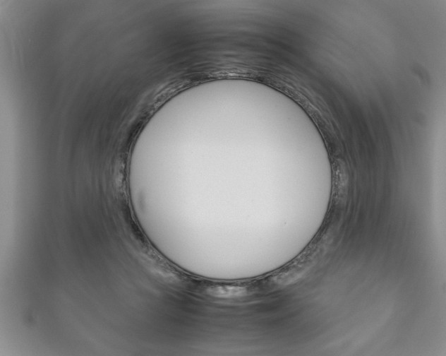X0000111190361200907011014