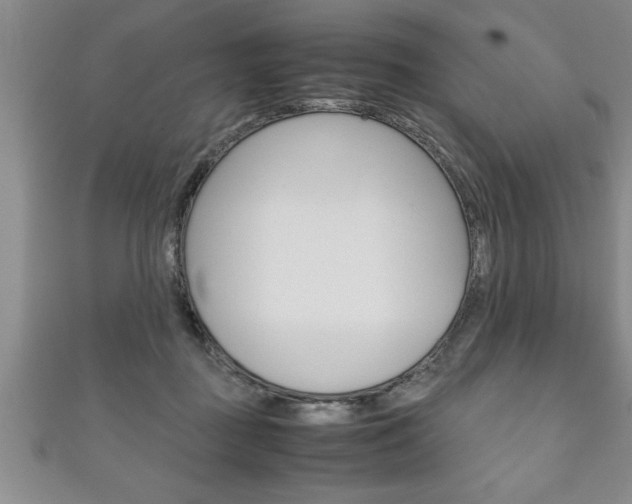 X0000111190363200907011014