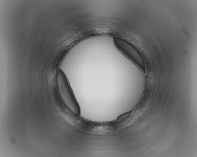 X0000111190364200907011014
