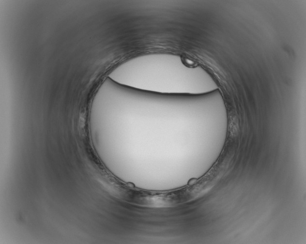 X0000111190365200907011014