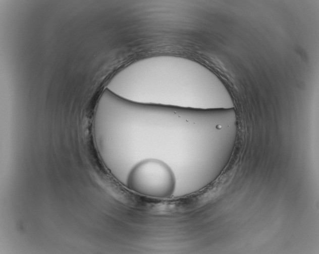 X0000111190366200907011014