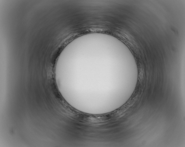 X0000111190367200907011014