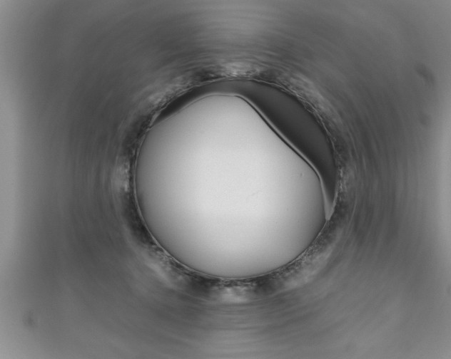 X0000111190368200907011014