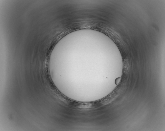 X0000111190369200907011014