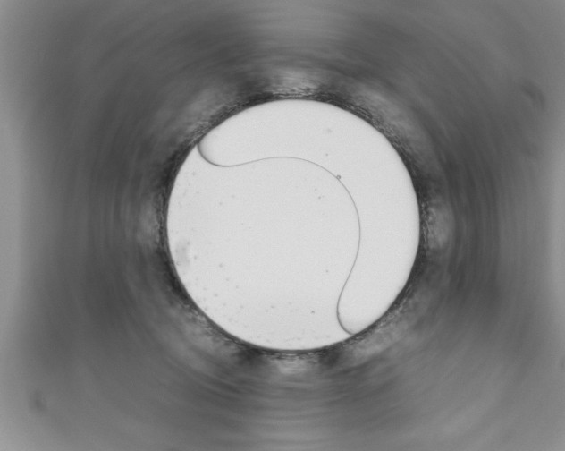 X0000111190370200907011014