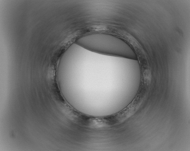 X0000111190372200907011014