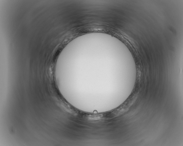 X0000111190373200907011014