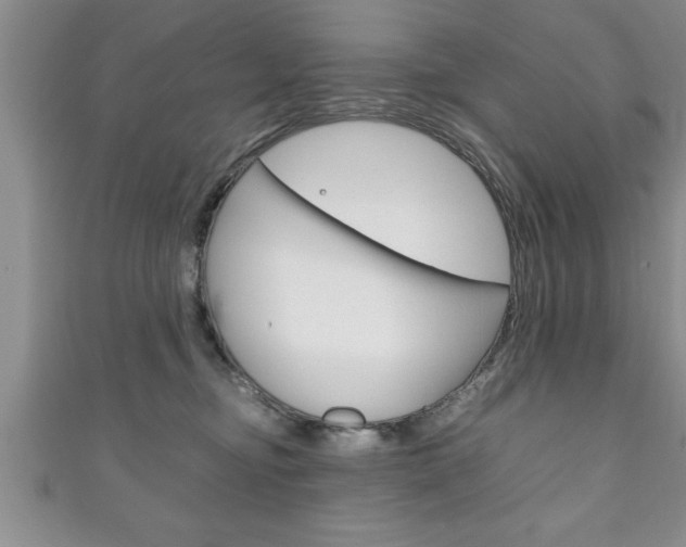 X0000111190374200907011014