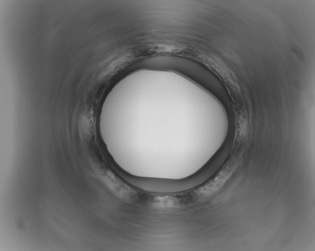 X0000111190376200907011014