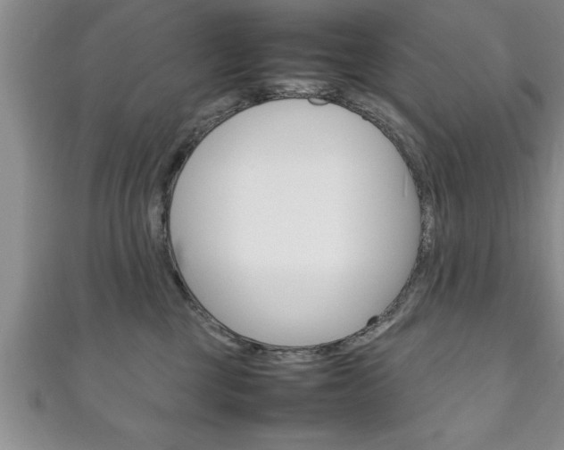 X0000111190377200907011014