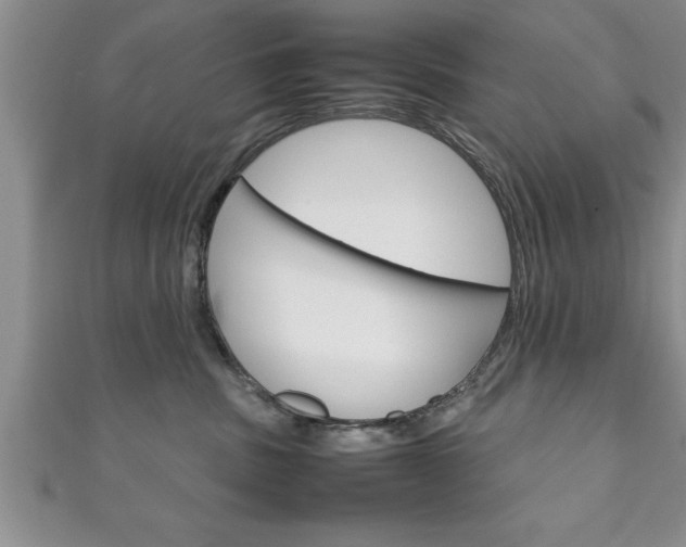 X0000111190379200907011014