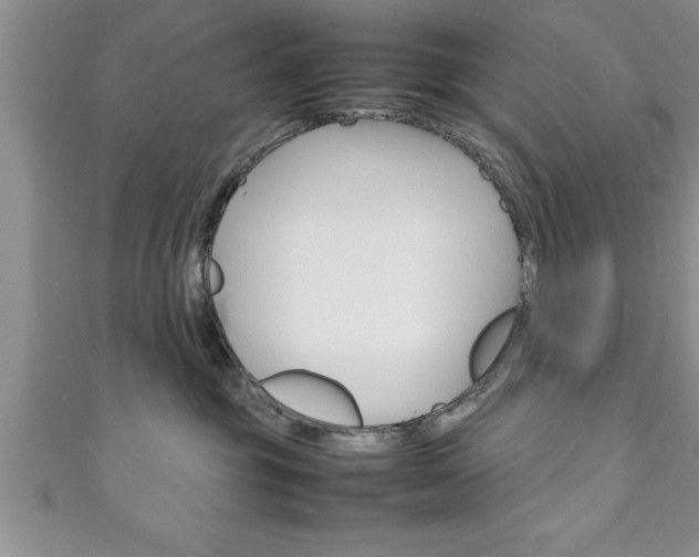 X0000111190381200907011014