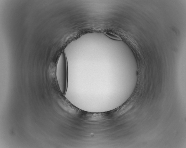 X0000111190384200907011014
