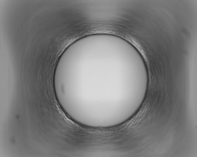 X0000111190385200907011013