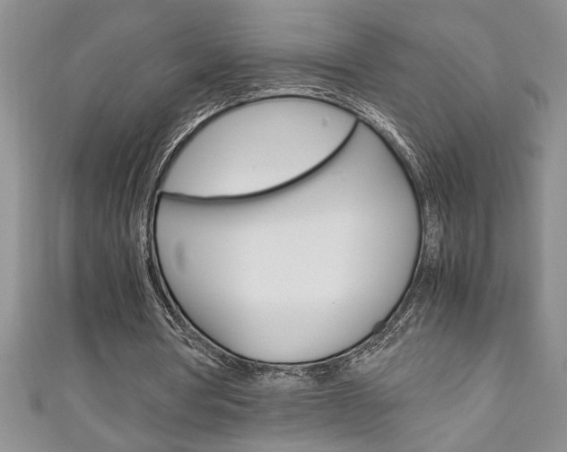 X0000111190386200907011013