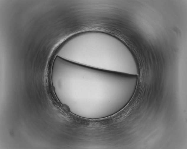 X0000111190388200907011013