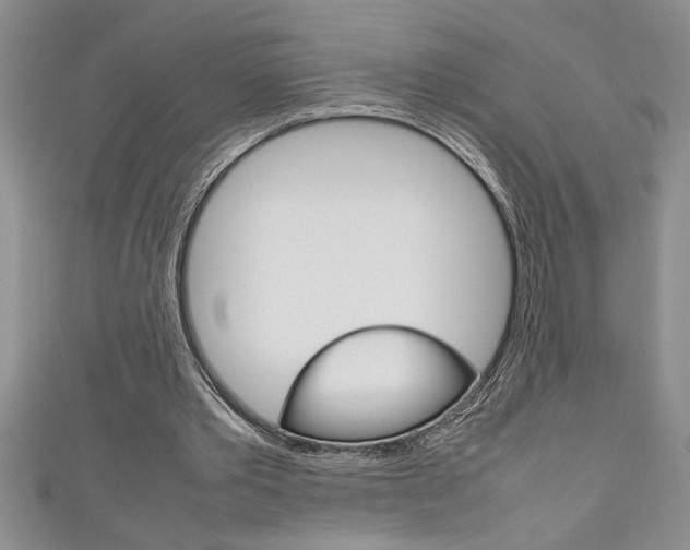 X0000111190389200907011013