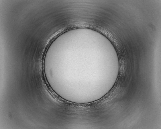 X0000111190390200907011013