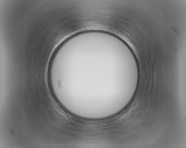 X0000111190391200907011013