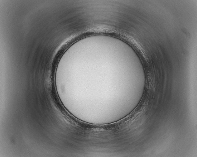 X0000111190392200907011013