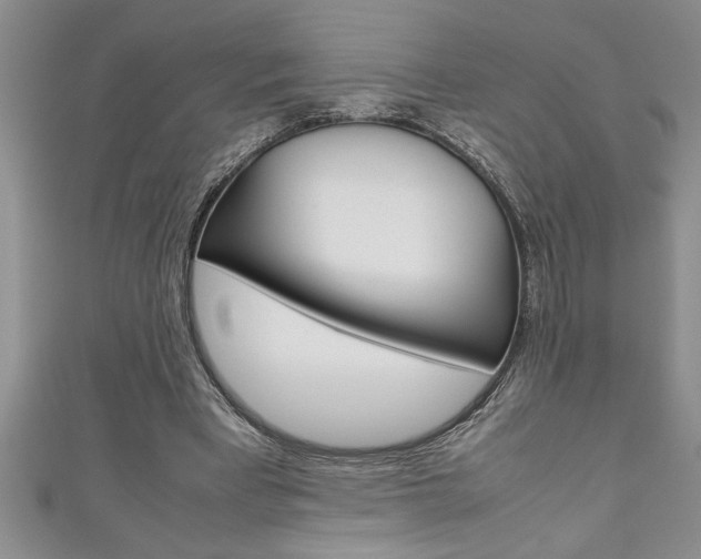 X0000111190393200907011013