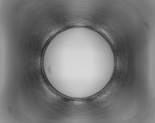 X0000111190394200907011013