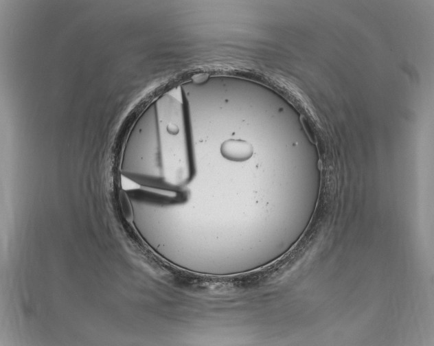 X0000111190395200907011013