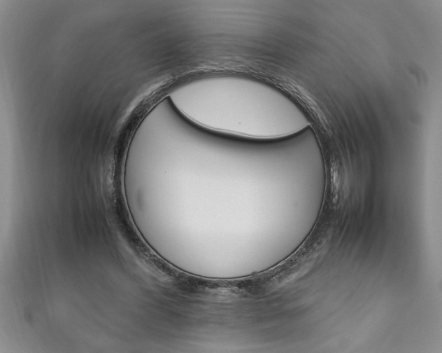 X0000111190396200907011013
