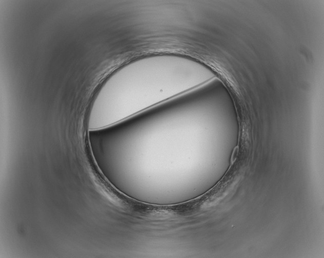 X0000111190397200907011013