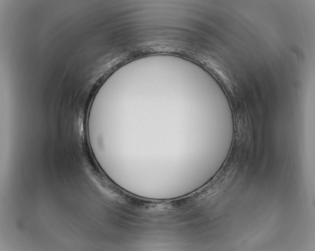 X0000111190398200907011013